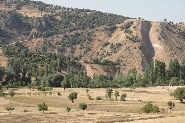 Ünal Palas Otel - Resim 6
