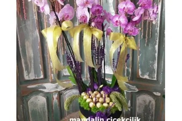 BODRUM ÇİÇEKÇİSİ-MANDALİN ÇİÇEKÇİLİK - Resim 19
