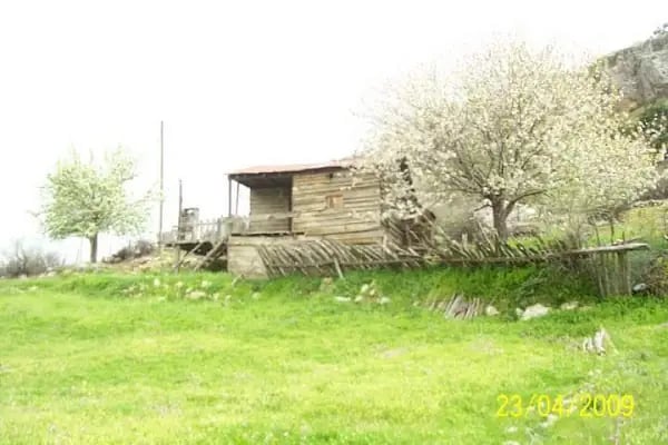 Gireğiyeniköy - Resim 8