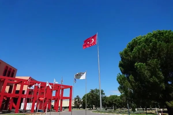 Bursa Organize Sanayi Bölgesi - Resim 3