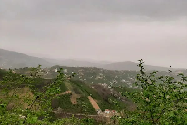 ZeDome Panorama - Resim 6