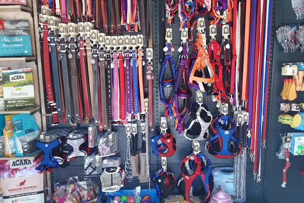 UpHill PETSHOP Kent Çarşı Ataşehir - Resim 20