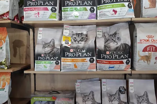 UpHill PETSHOP Kent Çarşı Ataşehir - Resim 8