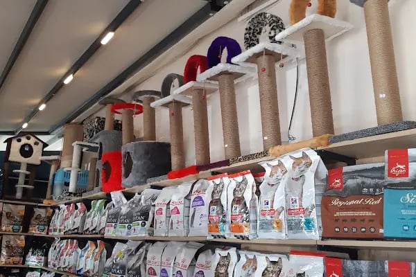 UpHill PETSHOP Kent Çarşı Ataşehir - Resim 17