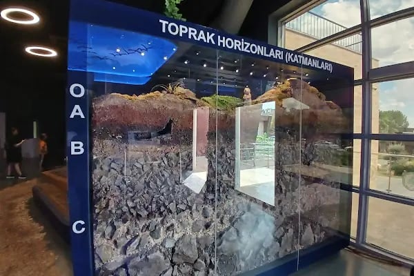 Çukurova Biyoçeşitlilik Tanıtım Merkezi - Resim 11