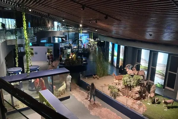 Çukurova Biyoçeşitlilik Tanıtım Merkezi - Resim 1