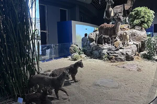 Çukurova Biyoçeşitlilik Tanıtım Merkezi - Resim 3