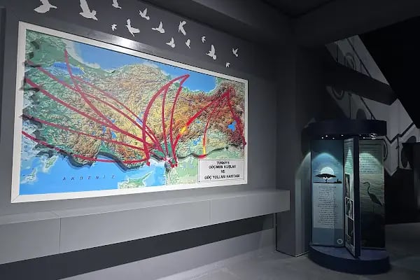 Çukurova Biyoçeşitlilik Tanıtım Merkezi - Resim 14