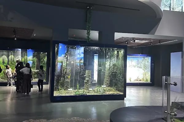 Çukurova Biyoçeşitlilik Tanıtım Merkezi - Resim 13