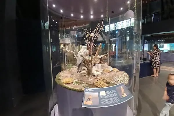 Çukurova Biyoçeşitlilik Tanıtım Merkezi - Resim 5