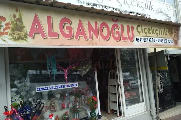 Alganoğlu Çiçekçilik - Resim 2