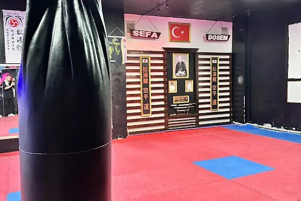 Sefa mma dövüş kulübü (karma dövüş sanatları boks kickboks muaythai wrestling brezilianjiujitsu) - Resim 5