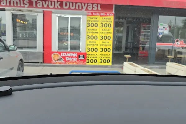 Büyük Kanatçı - Resim 5