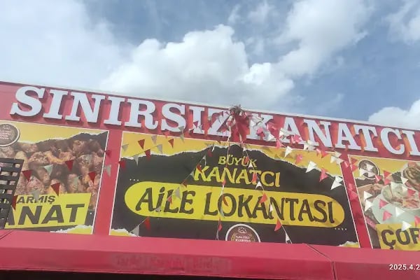 Büyük Kanatçı - Resim 2