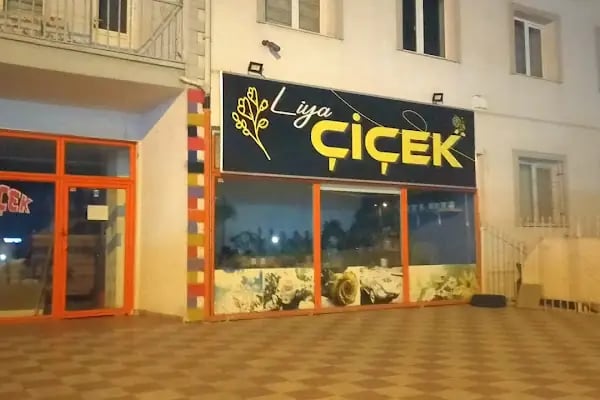 LİYA ÇİÇEK - Resim 2