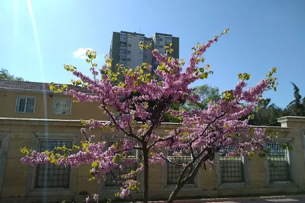 Ataköy 5. Kısım Ömer Duruk Camii - Resim 20