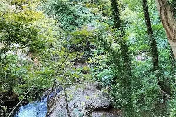 çaylak şelalesi - Resim 15