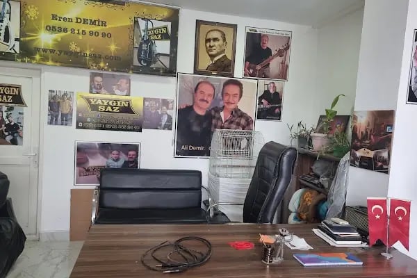 Yaygın Saz - Resim 1