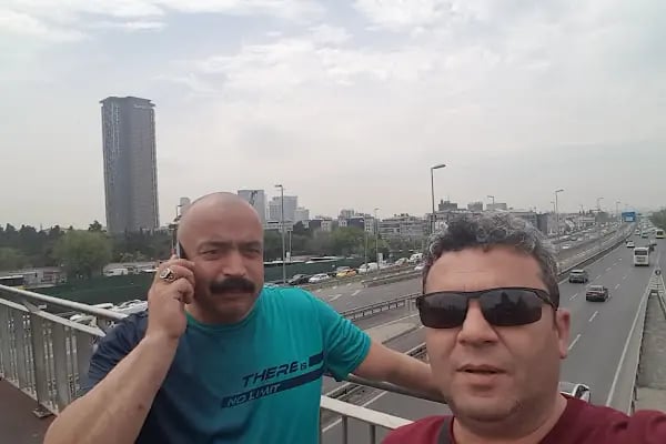 Yaygın Saz - Resim 17