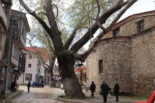 Trilye Kültür Merkezi - Resim 4