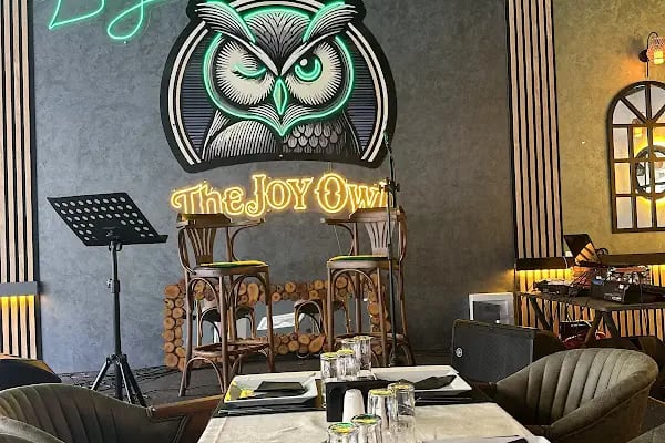 The joy owl - Resim 16