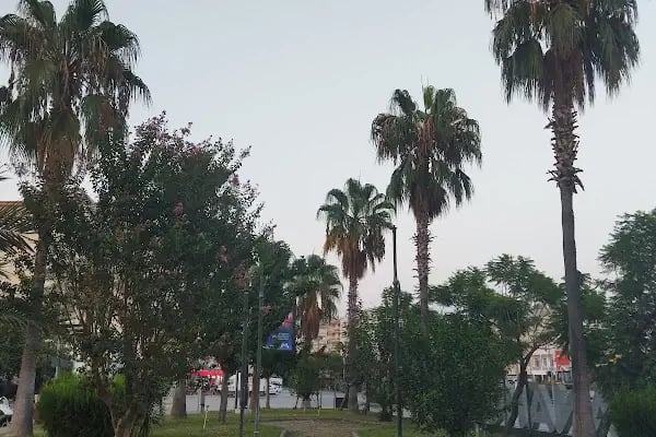 Yeşilyurt Cami - Resim 13