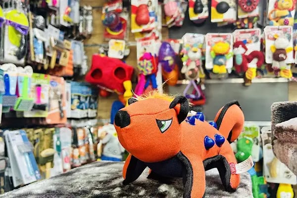 ZOO Pet Shop - Resim 17