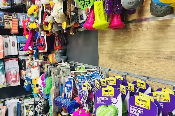 ZOO Pet Shop - Resim 16