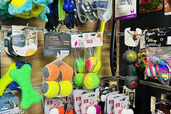 ZOO Pet Shop - Resim 14