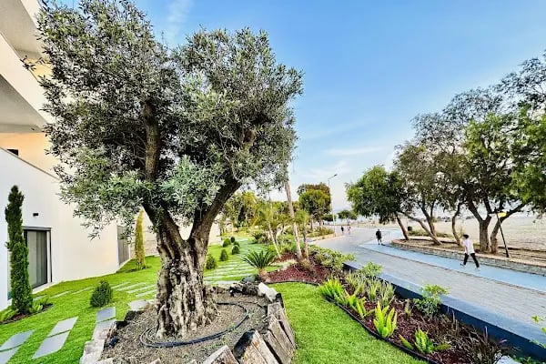 Solt Suites Bodrum - Resim 14