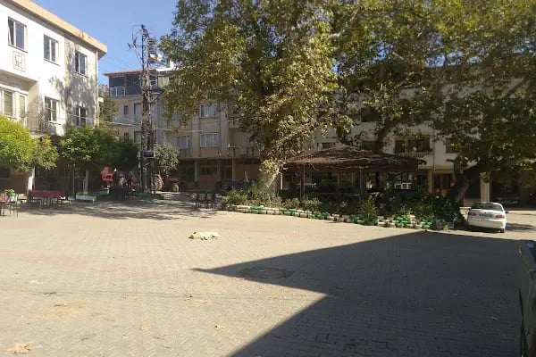 Hamzabey Köyü Muhtarlık - Resim 9