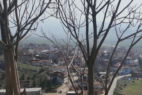 Hamzabey Köyü Muhtarlık - Resim 20