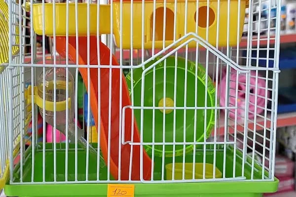 Albino petshop 2 - Resim 16