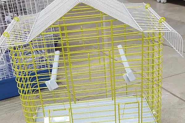Albino petshop 2 - Resim 12