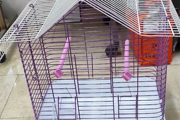 Albino petshop 2 - Resim 19