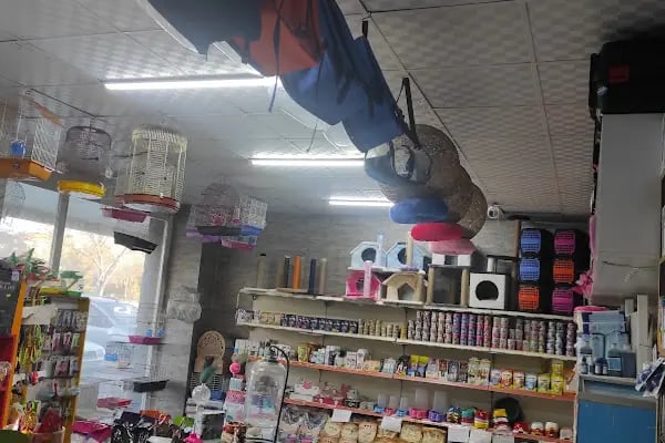 Albino petshop 2 - Resim 20
