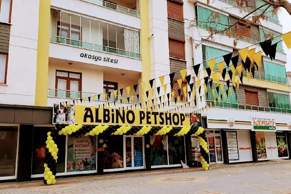 Albino petshop 2 - Resim 1