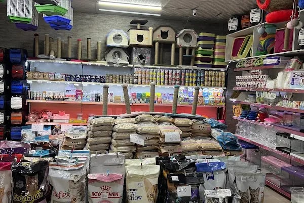 Albino petshop 2 - Resim 2