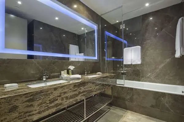 Hilton Garden Inn Istanbul Ataturk Airport - Resim 4