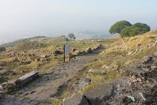 Bergama Sebze Ve Meyve Hali - Resim 1