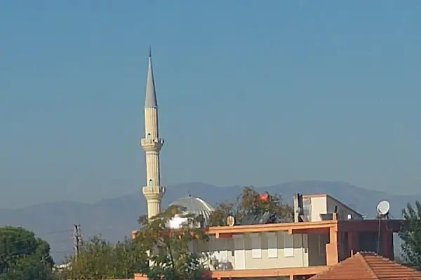 Altıntaş Mahalle Cami - Resim 4