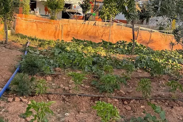 DAĞ BAĞ EVİ - Resim 20