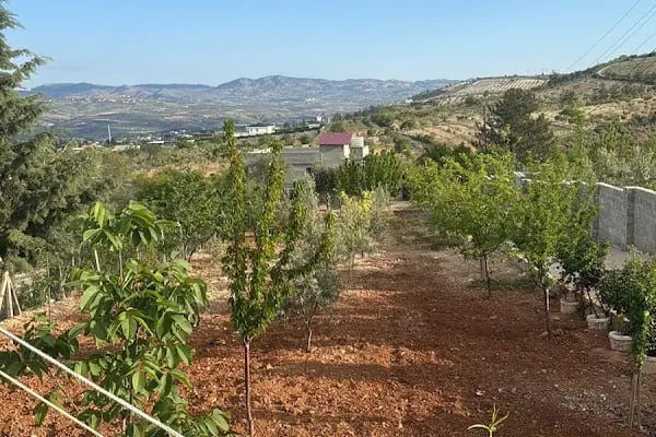 DAĞ BAĞ EVİ - Resim 12