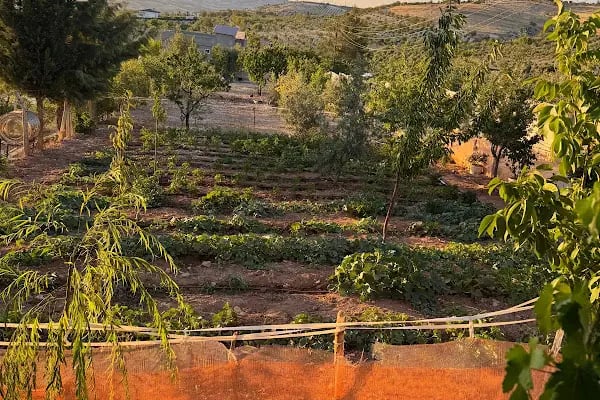DAĞ BAĞ EVİ - Resim 17