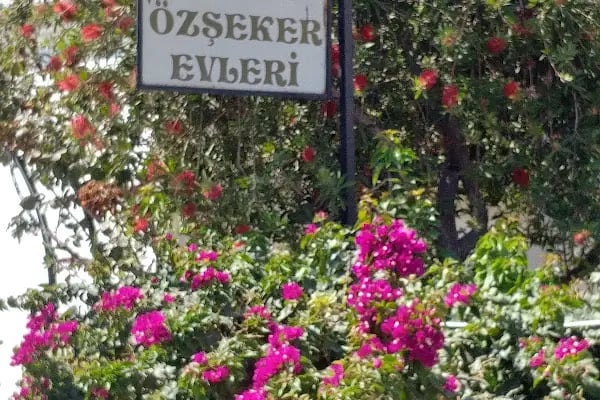 Hasan Özşeker Evleri - Resim 2