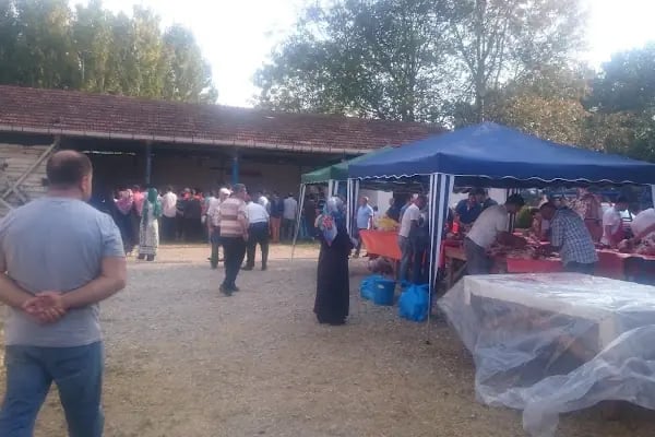 Koçaklar Besicilik - Resim 4
