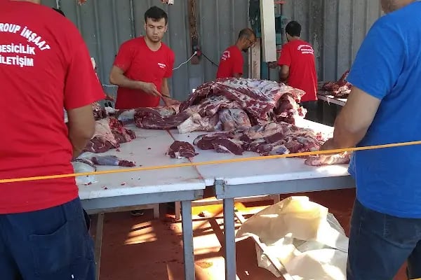 Koçaklar Besicilik - Resim 5