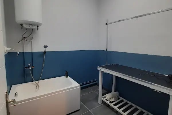 DARWIN VETERİNER KLİNİĞİ - Resim 14