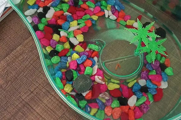 Minik Dostlar Pet Shop - Resim 20
