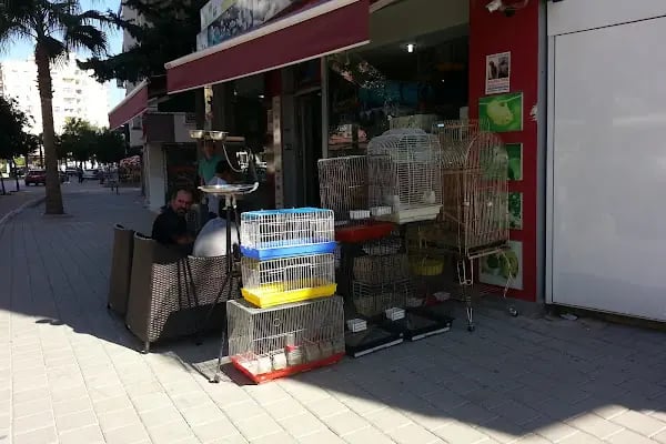 Minik Dostlar Pet Shop - Resim 19